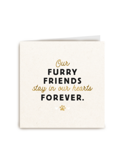 our furry friends stay in our hearts forever