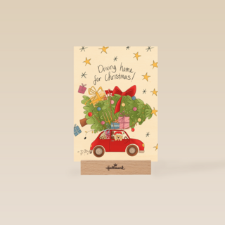 Kerstkaart matia studio kerstboom op auto