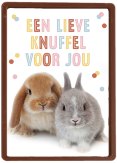 konijntjes een lieve knuffel voor jou