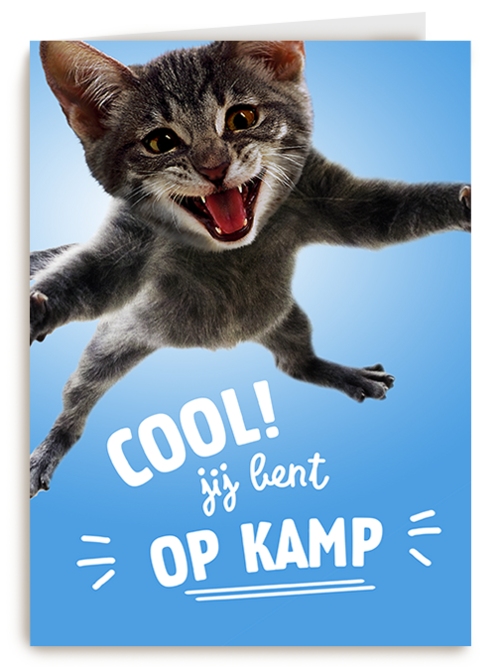 Cool Jij Bent Op Kamp Kat