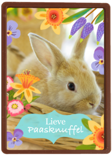 Lieve paasknuffel