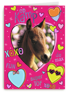 Op kamp paard