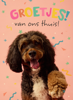 Op Kamp groetjes van thuis hond roze