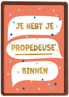 Je hebt je propedeuse binnen
