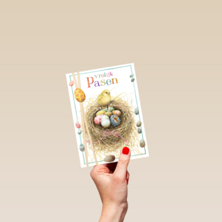 kuiken met nestje eieren