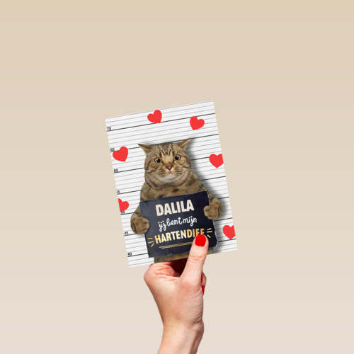 valentijn kaart kat grappig jij bent mijn hartendief