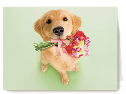 hond met bloemen