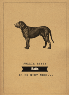 condoleance huisdier jullie lieve hond is er niet meer