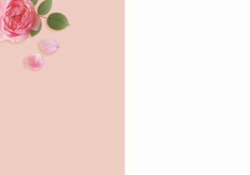 roze rozen kaart