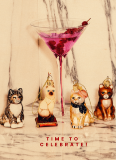 Vondels kaart time to celebrate