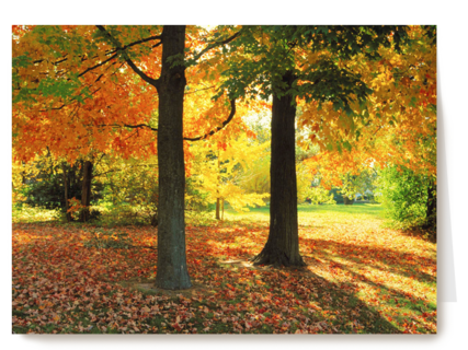 een zonnige namiddag in de herfst