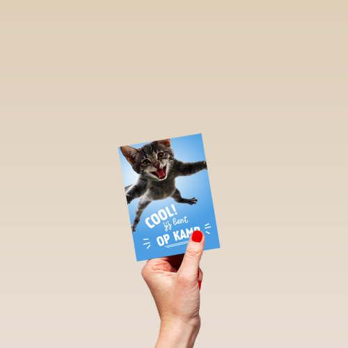 Cool Jij Bent Op Kamp Kat