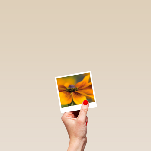 Sterkte kaart gele bloem Polaroid