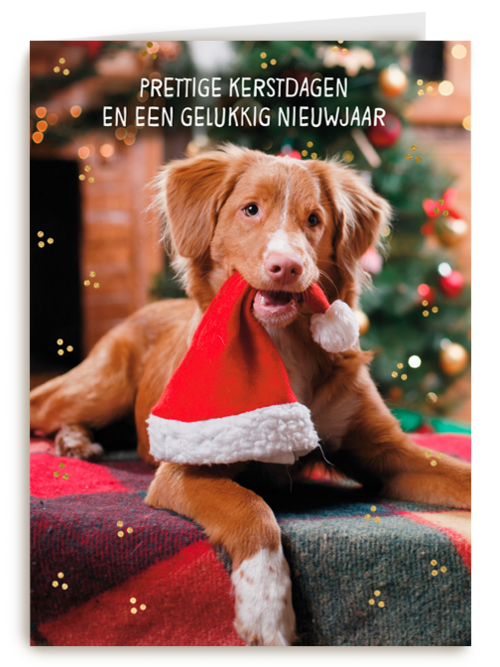 Kerstkaart klassiek Hond met kerstmuts