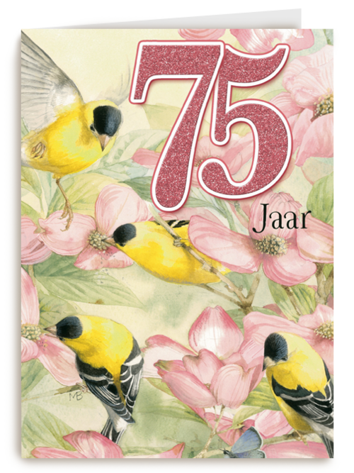 verjaardag leeftijden marjolein bastin 75