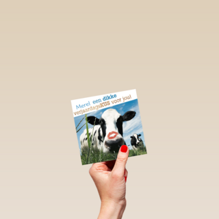 dikke verjaardagskus van een koe
