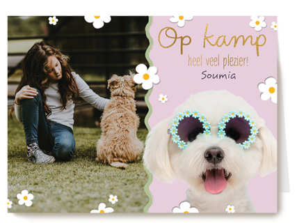 Op kamp heel veel plezier roze hond fotokaart