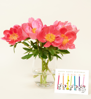 Brievenbusbloemen Pioenrozen Roze