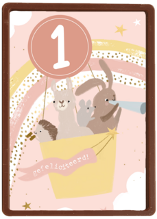 dieren in een luchtballon voor een eerste verjaardag