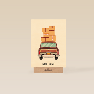 new home car with boxes