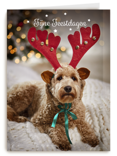 Kerstmis Hond Met Gewei