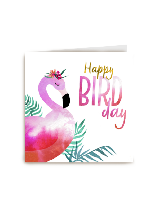 happy bird day van een pelikaan
