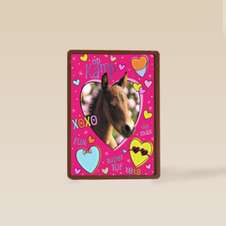 Op kamp paard