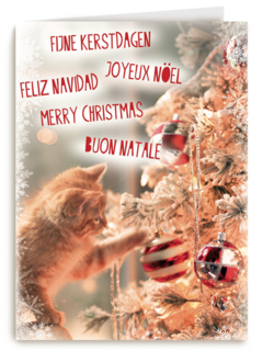 meertalig kat en kerstboom