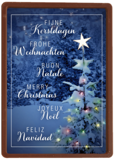 meertalige seeuw in het bos