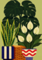 Nieuw Huis Planten