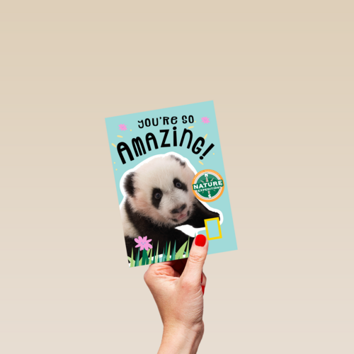 verjaardag kaart pandabeer