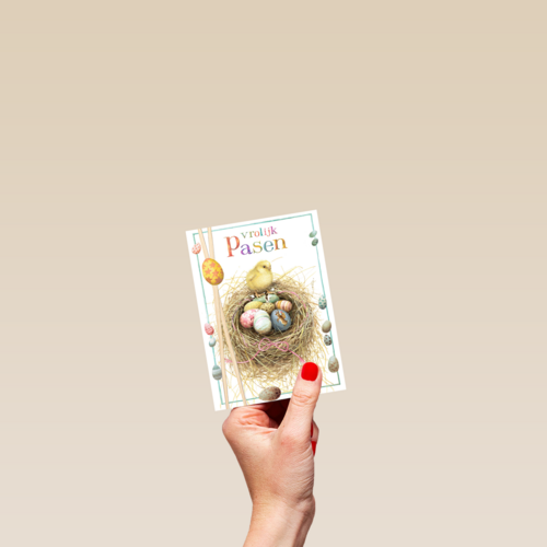 kuiken met nestje eieren
