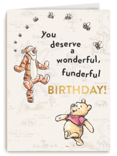 Winnie en Tijgertje wonderful birthday