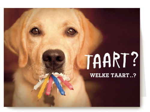 animal fiesta taart welke taart