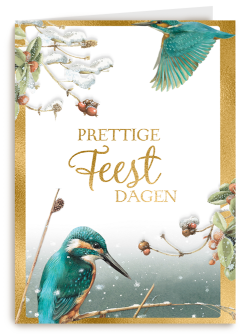 Kerstkaart marjolein bastin ijsvogel