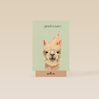 Verjaardag kaart hip happy birthday lama alpaca