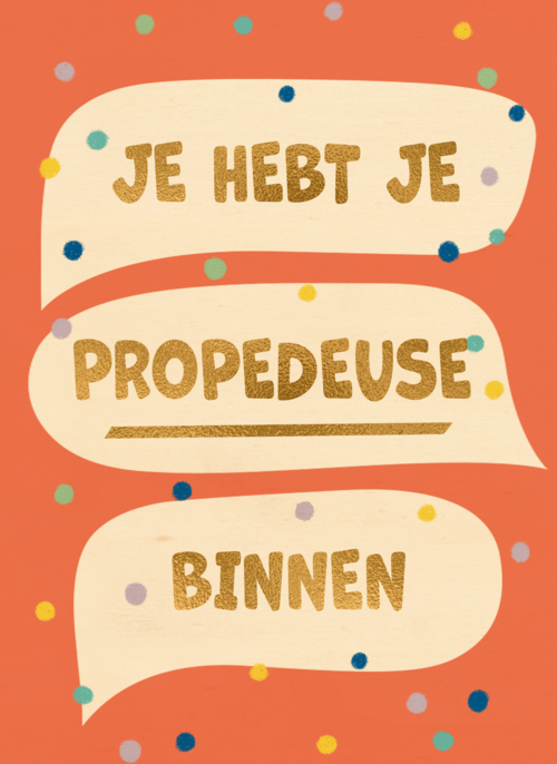 Je hebt je propedeuse binnen