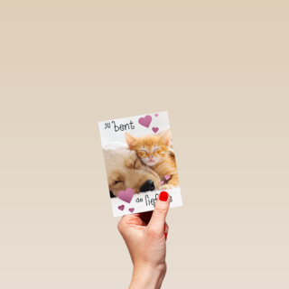 Valentijn Jij bent de liefste hond kat