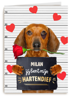 valentijn kaart hond jij bent mijn hartendief