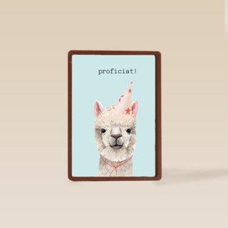 Verjaardag kaart hip happy birthday lama alpaca