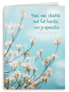 sterkte met het herstel