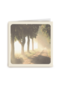 morning forest