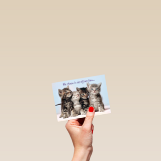 Kittens