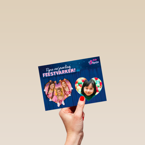 Feestvarken K3 de 3 biggetjes