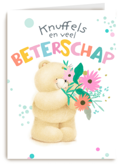 Forever Friends knuffels beterschap