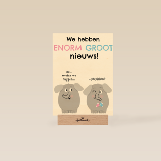 zwangerschap we hebben enorm groot nieuws