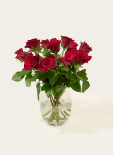 Brievenbusbloemen Rozen Rood