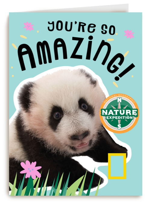 verjaardag kaart pandabeer