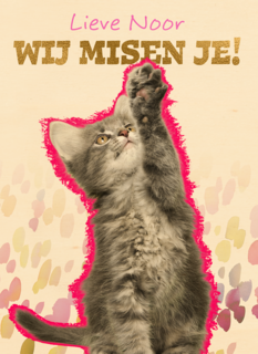 Lieve we missen je kat Op Kamp