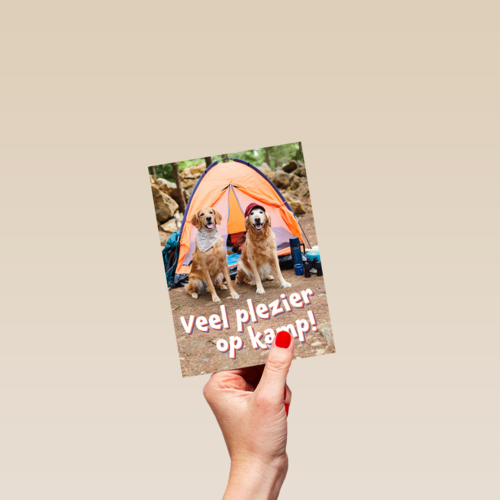 Op kamp kaart 2 honden bij tent